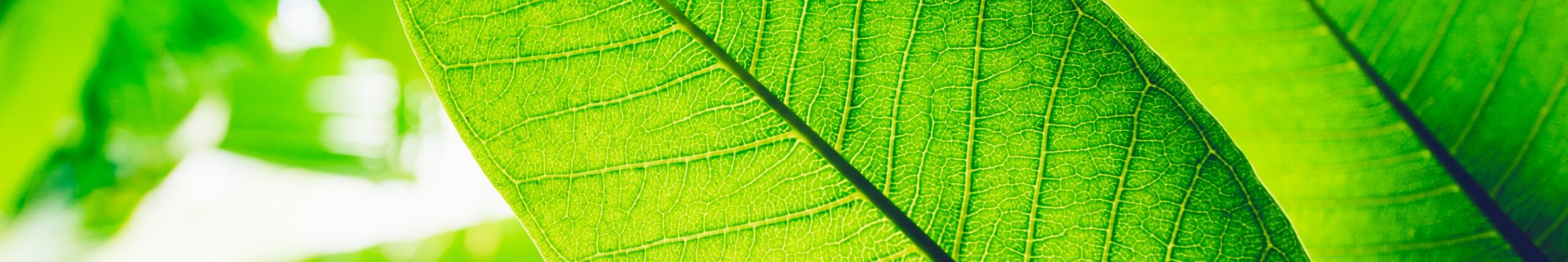  Hero ImageEnvironmental Benefits