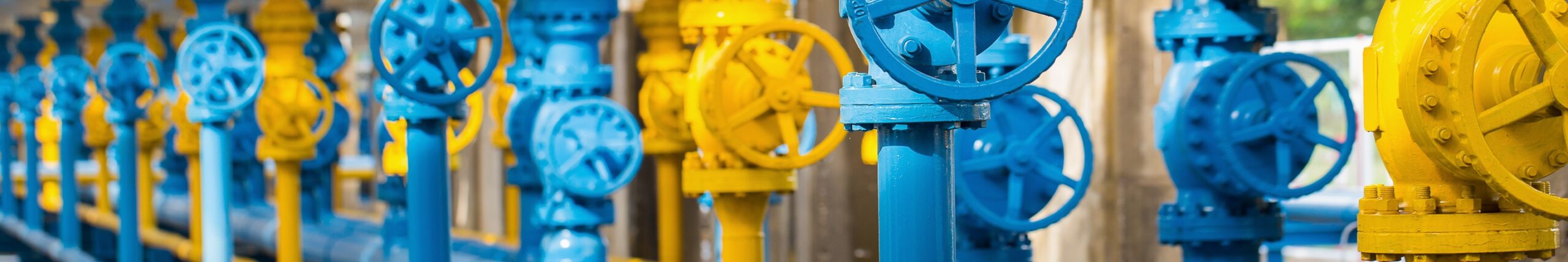  Hero ImageExcess Flow Valve